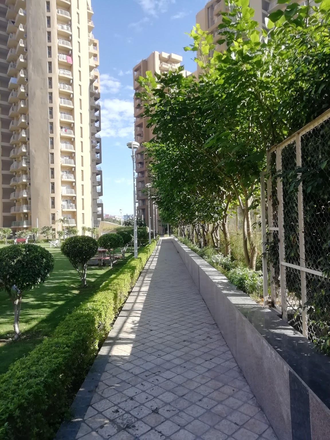 Jogging Track